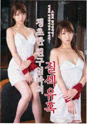 骚虎电影 罗马假日
